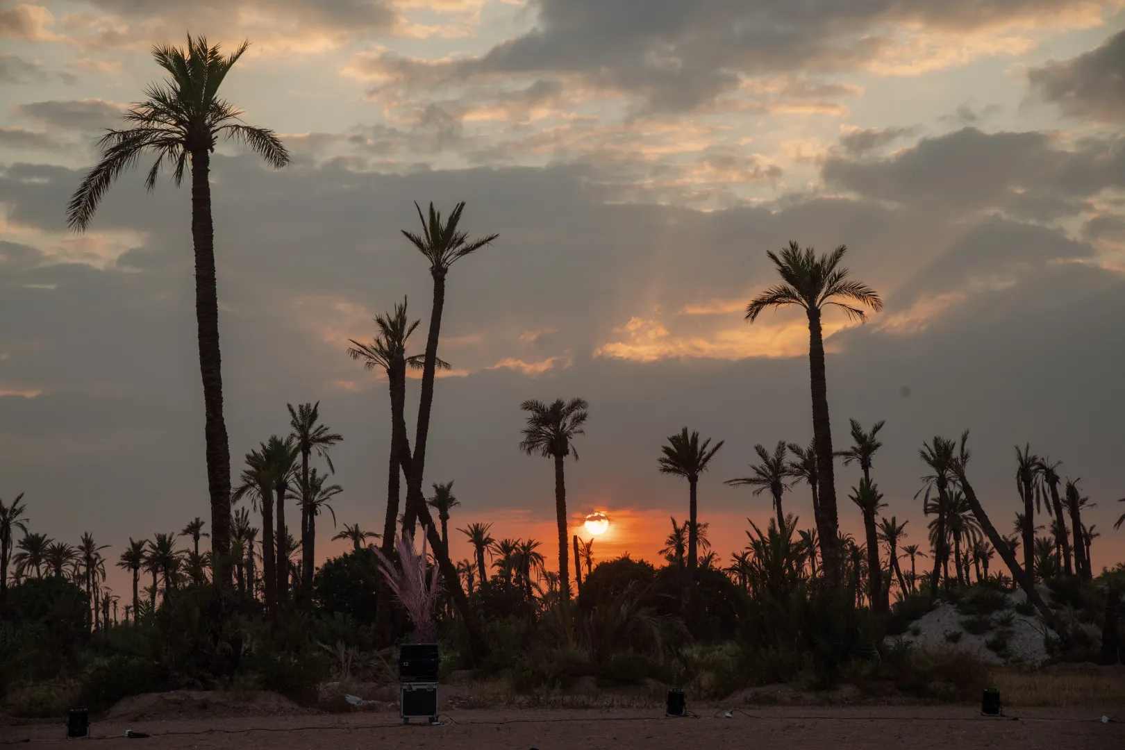 Morocco for German Companies: The Incentive Travel & MICE Guide